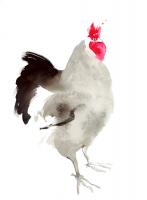 Little Red Rooster 3 #109097 Little Red Rooster 3 #109097