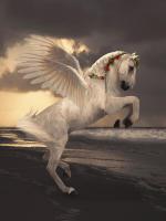Pegasus With Roses #11786