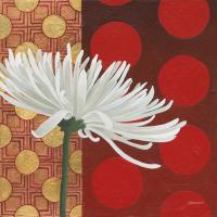 Morning Chrysanthemum I #43542