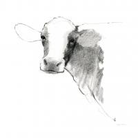 Cow II Dark Square #36141