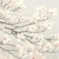 Dogwood Blossoms II Gray #41472