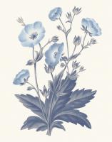 Blue Botanical VI #42745