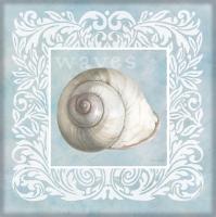 Sandy Shells Blue on Blue Snail #44289
