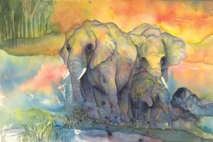 Elephants #44510