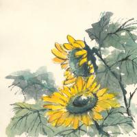 Sunflower I #44520