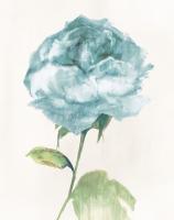 Antique Floral on Cream II Blue #45392