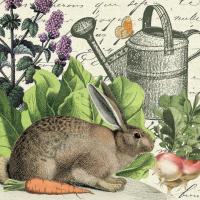 Garden Rabbit I #45821
