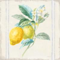 Floursack Lemons II Sq Navy #46395
