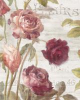 French Roses II #46485