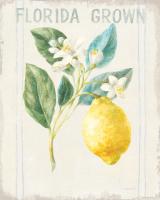 Floursack Lemon I v2 #46743