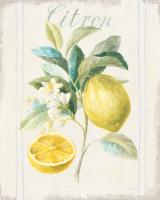 Floursack Lemon IV v2 #46746