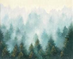 Misty Forest #47860