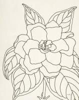 Gardenia Line Drawing Crop #48133