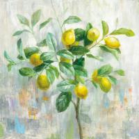 Lemon Branch #48295