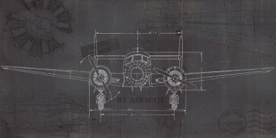 Plane Blueprint IV Wings #48718-60x30
