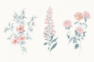 Flowers on White IX Contemporary Bright #48807