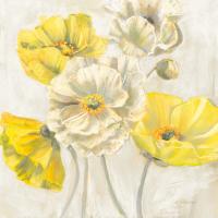 Gold and White Contemporary Poppies Neutral #49544