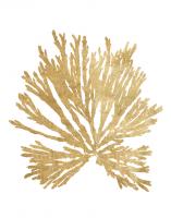Pacific Sea Mosses II Gold #49985-11x14