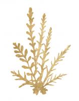 Pacific Sea Mosses III Gold #49986-11x14