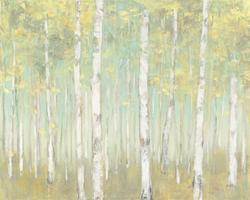 Sylvan Birches #50142