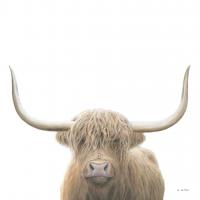 Highland Cow Sepia Sq #50231
