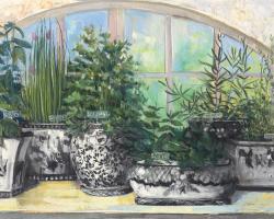 Windowsill Herbs BW Vases Crop #50600