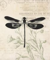 Vintage Insects #50602