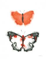 Watercolor Butterflies III #50703