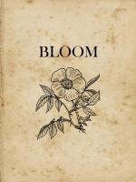 Bloom #50971