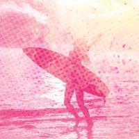 Surfer Girl 2 #51551