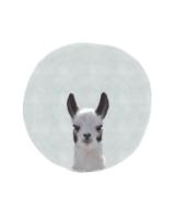 Baby Circle Llama #51594