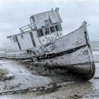 Shipwrecked Minnow 1 #51720