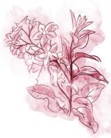 Water Inked Florals Blush #51805