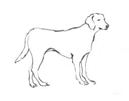 Ink Dog I #51902