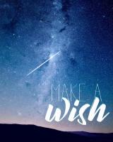 Make a Wish #52084