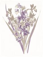 Lavender Flowers Three #52979