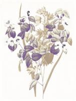 Lavender Flowers Four #52980