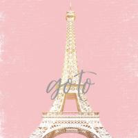 Paris Go To #52993