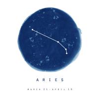 Aries Sky #53181
