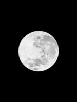 Moons Howl 1 #53239