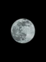 Moons Howl 2 #53240