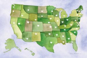 USA Capital Map #53450