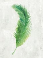 Palms of the Tropics VI #53773