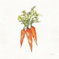 Veggie Market V Carrots #54071