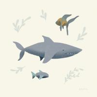 Ocean Life Shark #54180