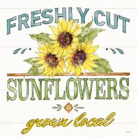 Sunflower Fields III #54383