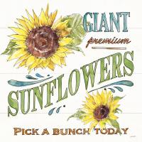 Sunflower Fields IV #54384
