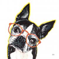 Bespectacled Pet IV #54790