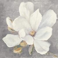 Serene Magnolia Light Gray #56378