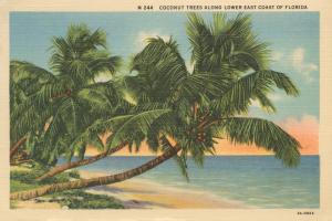 Florida Postcard III #57480